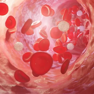 Haematology and BMT