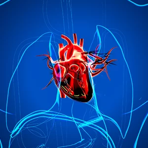 Structural Cardiology